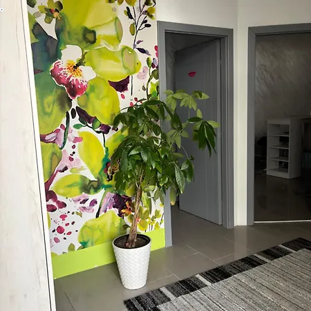 Apartment Stan Na Dan